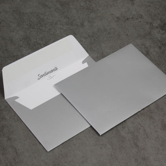 C6 114x162mm Silver Peel & Seal Envelopes (None Window)