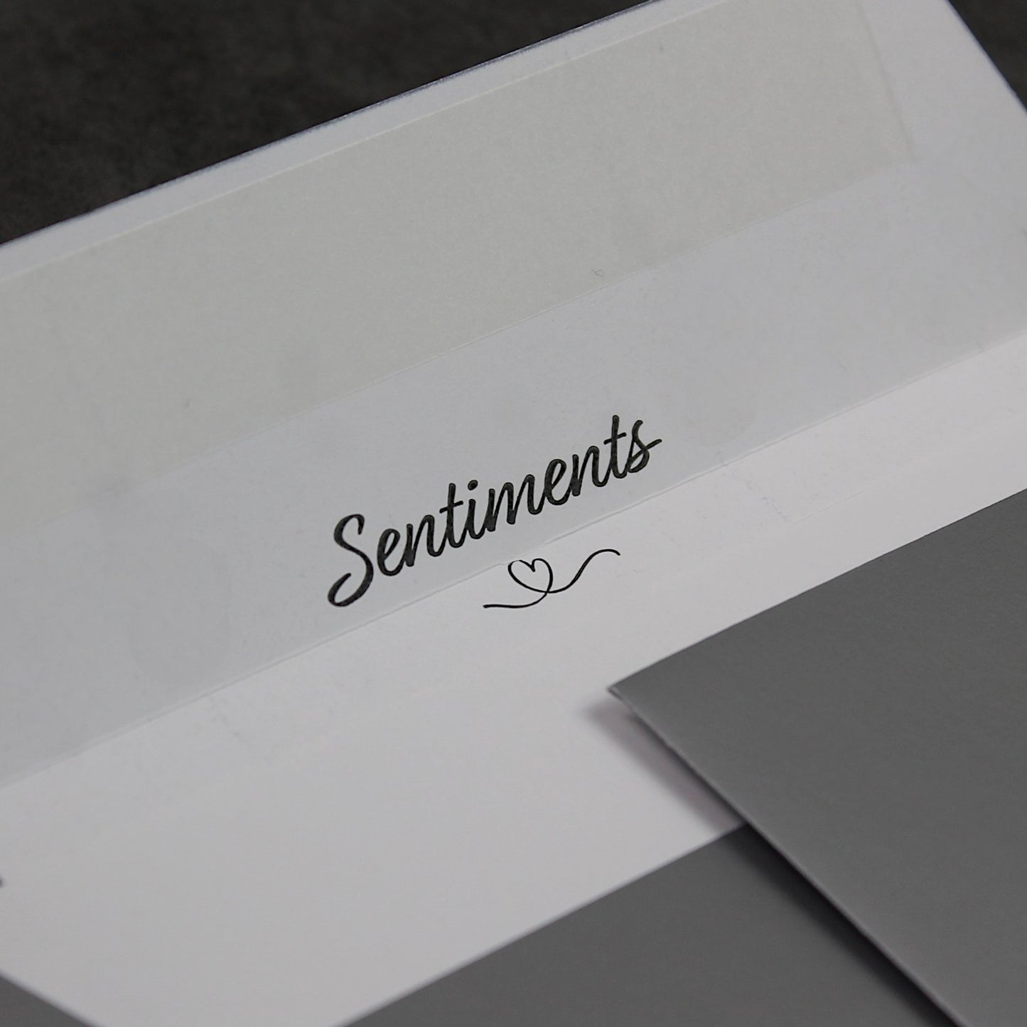 C6 114x162mm Silver Peel & Seal Envelopes (None Window)