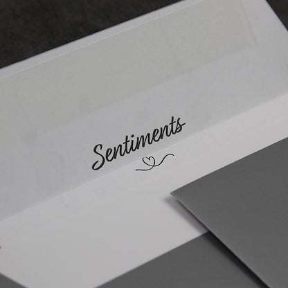 C6 114x162mm Silver Peel & Seal Envelopes (None Window)