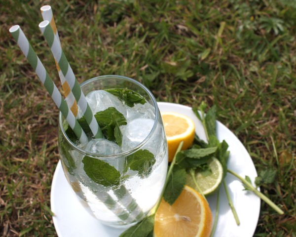 Green & White Striped Paper Straws (6mm x 200mm) - Quality Drinking Straws - Intrinsic Paper Straws